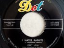 DOT 15810 Jerry Neal org Rockabilly 45 Mint Minus  I Hates Rabbits