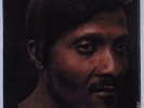 ALBERT COLLINS Truckin' with... BLUE THUMB BTS 8 LP SEALED gatefold