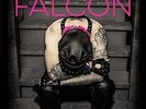 Gather Up The Chaps - FALCON THE [LP]