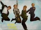 THE  DANISH  SHARKS   MEGA  RARE  ITALY   LP   READY, STEADY, GO