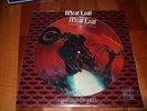 MEAT LOAF : BAT OUT OF HELL PICTUREDISC LP 1977 EPIC 34974 USA
