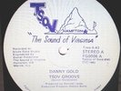 DANNY GOLD - T.S.O.V groove - 12