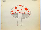 MUSHROOM Early One Morning - rare original 1973 Irish folk psych prog LP + inner
