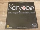 The Spontaneous Music Ensemble - Karyobin 1968 UK LP ISLAND 1st BRITISH JAZZ