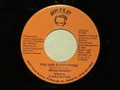 northern soul BRASS MONKEY feat.FLORA WILSON You Are Everything APPLERAY listen
