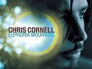 Euphoria Mourning - Chris Cornell (2015, Vinyl NEW)