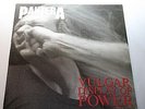 Pantera - Vulgar Display Of Power - LP ATCO OIS 1992