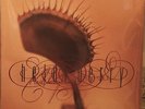 HEIDI BERRY SELF TITLED  LP UK ORIGINAL