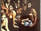 JIMI HENDRIX EXPERIENCE ELECTRIC LADYLAND NUDE LP HOLLAND POLYDOR MINT 