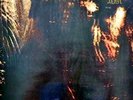 Paradise Lost - Gothic - LP Vinyl