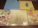 FLEETWOOD MAC 1973'74 FIVE LPS BONUS 45 RARE BOX SET + 4 OTHER FLEETWOOD MAC LPS
