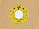 James Bell & Highlighters Band - The Love Of My Girl / Trying To Get Chosen - 3