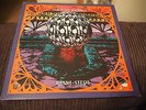 Red Hot Chilli Peppers - Rare Vinyl LP Giant Steps 1993 UK