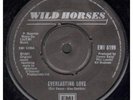 WILD HORSES Everlasting Love 7