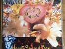 Nirvana  - Heart Shaped Box  7