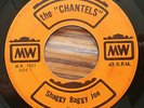 THE CHANTELS SHAGGY BAGGY JOE VERY RARE CANADA 45 GARAGE PUNK ROCK