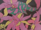 GOLDEN DAWN power plant LP NEU OVP/Sealed
