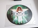 Schöne Picture LP Within Temptation Mother Earth/Ice Queen Limited Vinyl (2003)