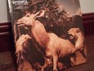 Interpol - Our Love To Admire (2xLP Gatefold Vinyl, Capitol, 2007)