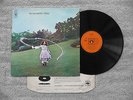 TREES - ON THE SHORE ? UK PROG FOLK LP ? UK ORIGINAL CBS LABEL COMUS SPIROGYRA