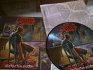 MORBID SAINT DESTRUCTION SYSTEM PICTURE vinyl lp