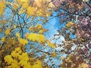 ROMANCE FOR LOVERS RUSSIAN PSYCH FUNK OST BREAKS LEGEND HEAR
