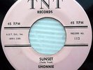 SHONNIE Sunset b/w Summer is the TIME FOR LOVE orig. T N T  DOOWOP 45 e4245