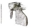 Coldplay A Rush of Blood to the Head New Vinyl LP