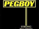 New Music Pegboy 