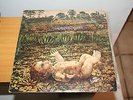 disco vinilo pau riba dioptria