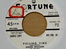 Wild R'n'B Rocker 45-Andre Williams-Pulling Time / Going Down To Tia Juana-PROMO