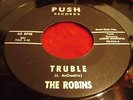 THE ROBINS 