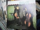 stray cats record of 12