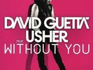David Guetta - Without You (Vinyl LP / Album) (New)