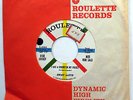 JIMMY LLOYD 45 I Got A Rocket In My Pocket NEAR MINT Rockabilly PROMO e4402