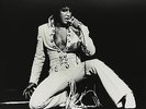 Elvis Presley - Showroom Internationale (Vinyl LP / Album) (New)