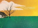 JOHN VANDERSLICE - PIXEL REVOLT (REISSUE) NEW VINYL