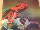 GENTLE GIANT 1973 LP OCTOPUS ORIG 1ST PRESS VERTIGO SWIRL OZ 6360 080 EX