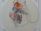 Fish - A Gentleman's Excuse Me 7” Single Uncut Picture Disc
