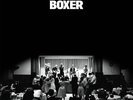 Boxer - NATIONAL THE [LP]