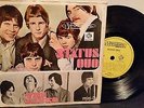 STATUS QUO / THE KINKS VERY RARE BRAZIL 7