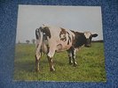 Pink Floyd LP 