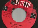 ROCKABILLY TEEN-  RAL DONNER--HIS FIRST RECORD  -HEAR BOTH- 1959 PROMO SCOTTIE