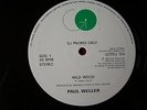 Paul Weller Wild Wood DJ Promo Only 10