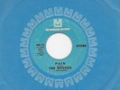 THE MYSTICS - PAIN - '60'S MIDWEST ROCK