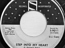 RONNIE AND ROBYN - Step Into My Heart | RARE SIDRA PROMO northern soul
