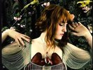 Florence+The Machine - Lungs