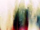 The War on Drugs - Future Weather