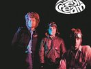 Cream - Fresh Cream