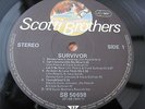 Survivor DEBUT LP 'SURVIVOR' UK LP  PRESS UNPLAYED AND 100% MINT AUDIO